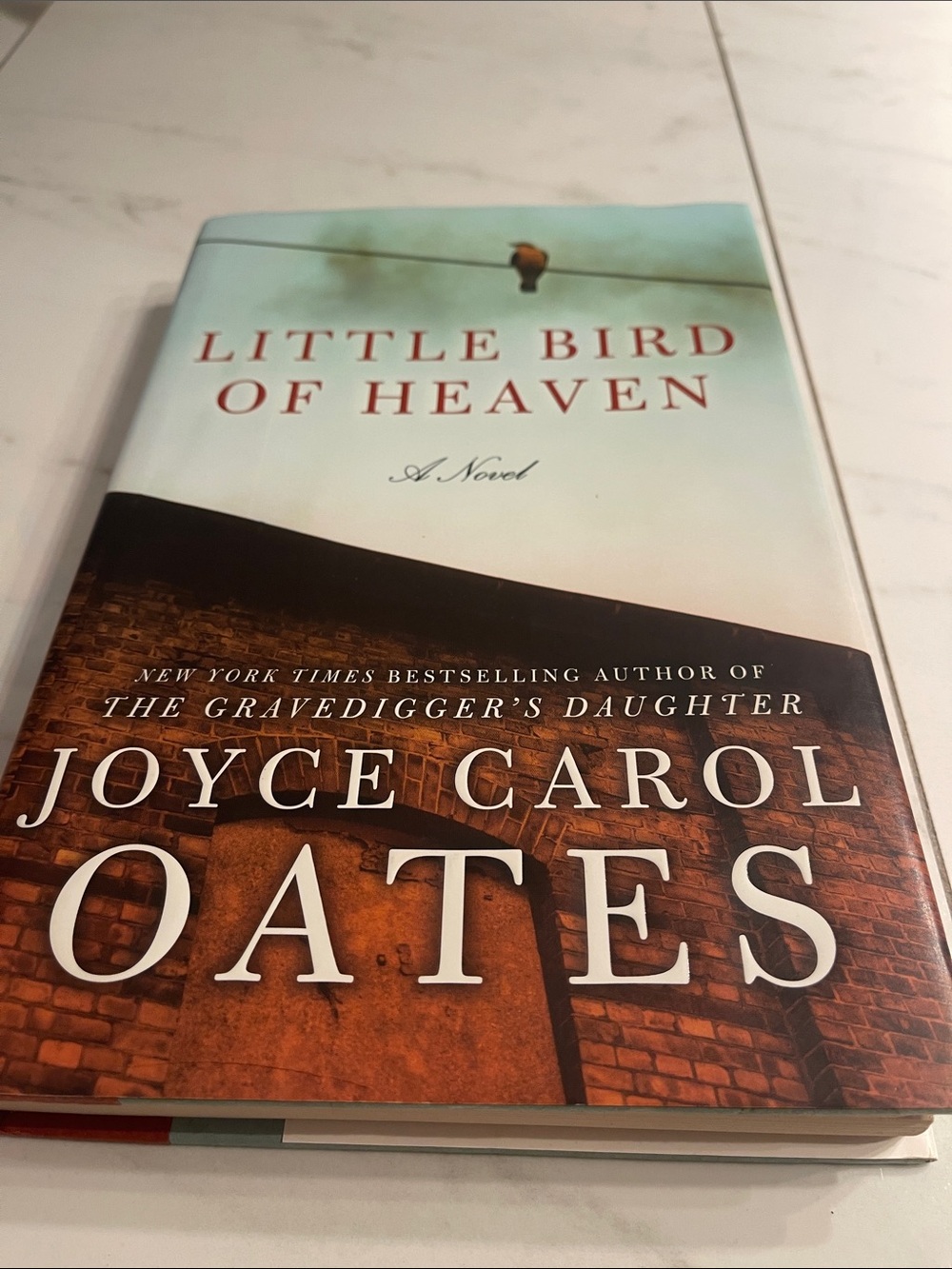 White and Brown Bird-Themed Novel 📕  by Joyce Carol Oates